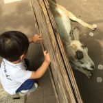 子供版NISAで資産を残す